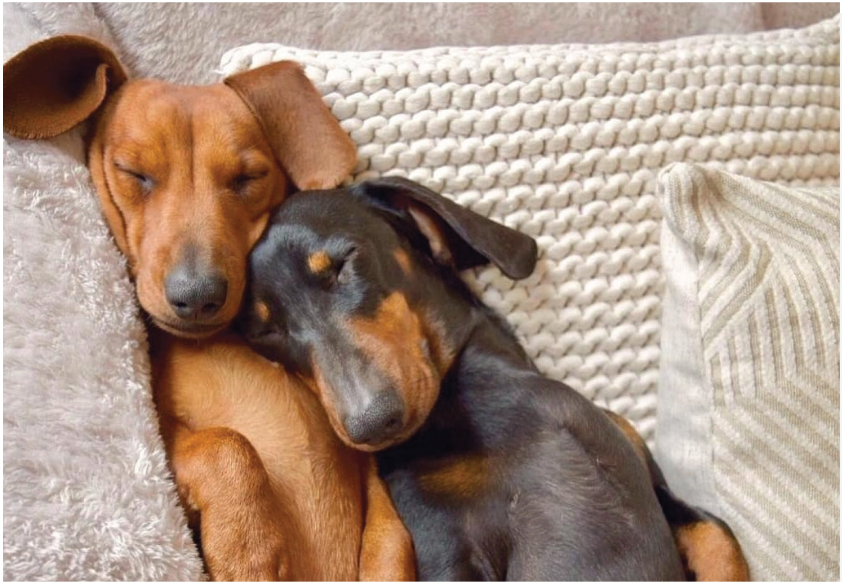 Not the right sofa for you?