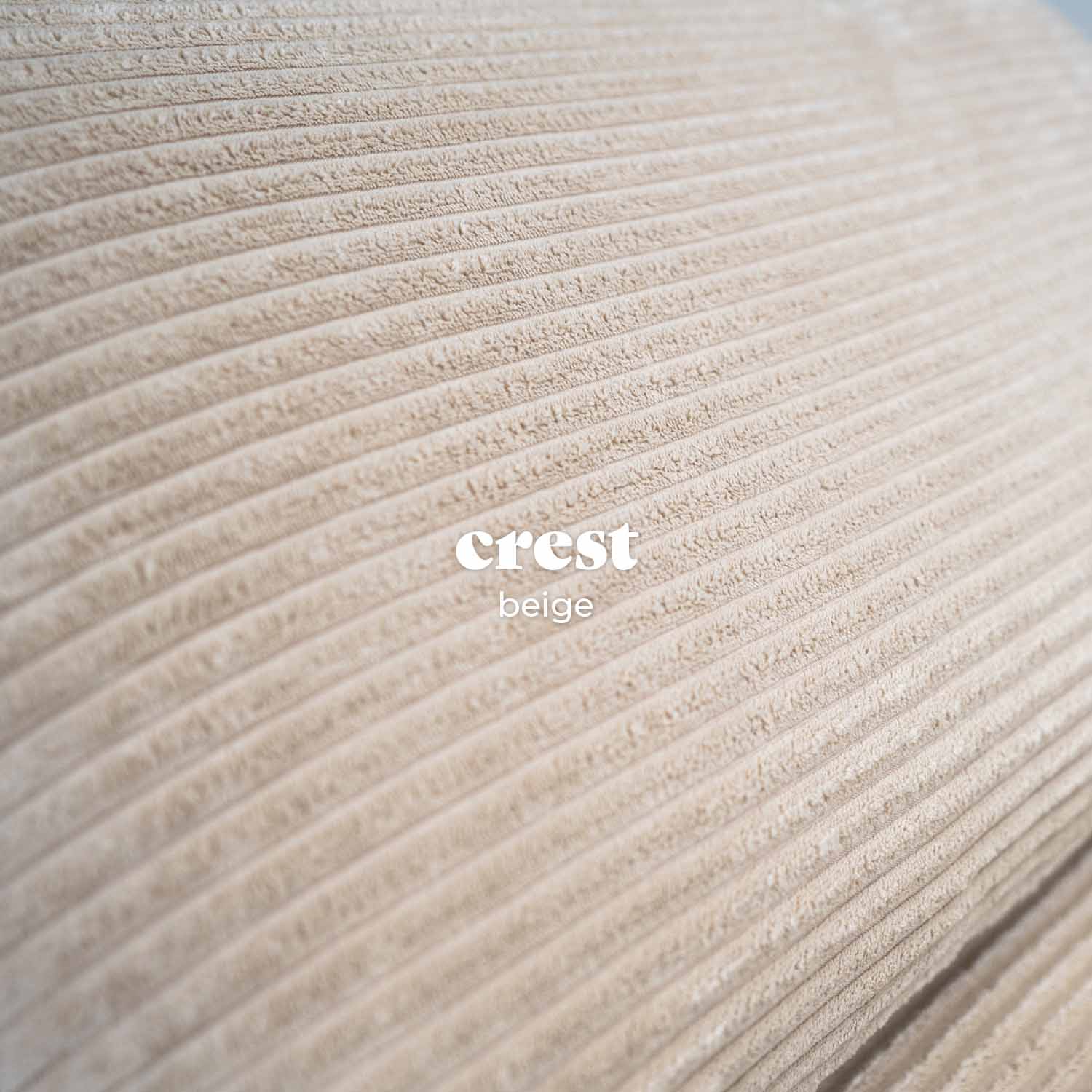 Leonard Corduroy 1 Seat Sofa Bed