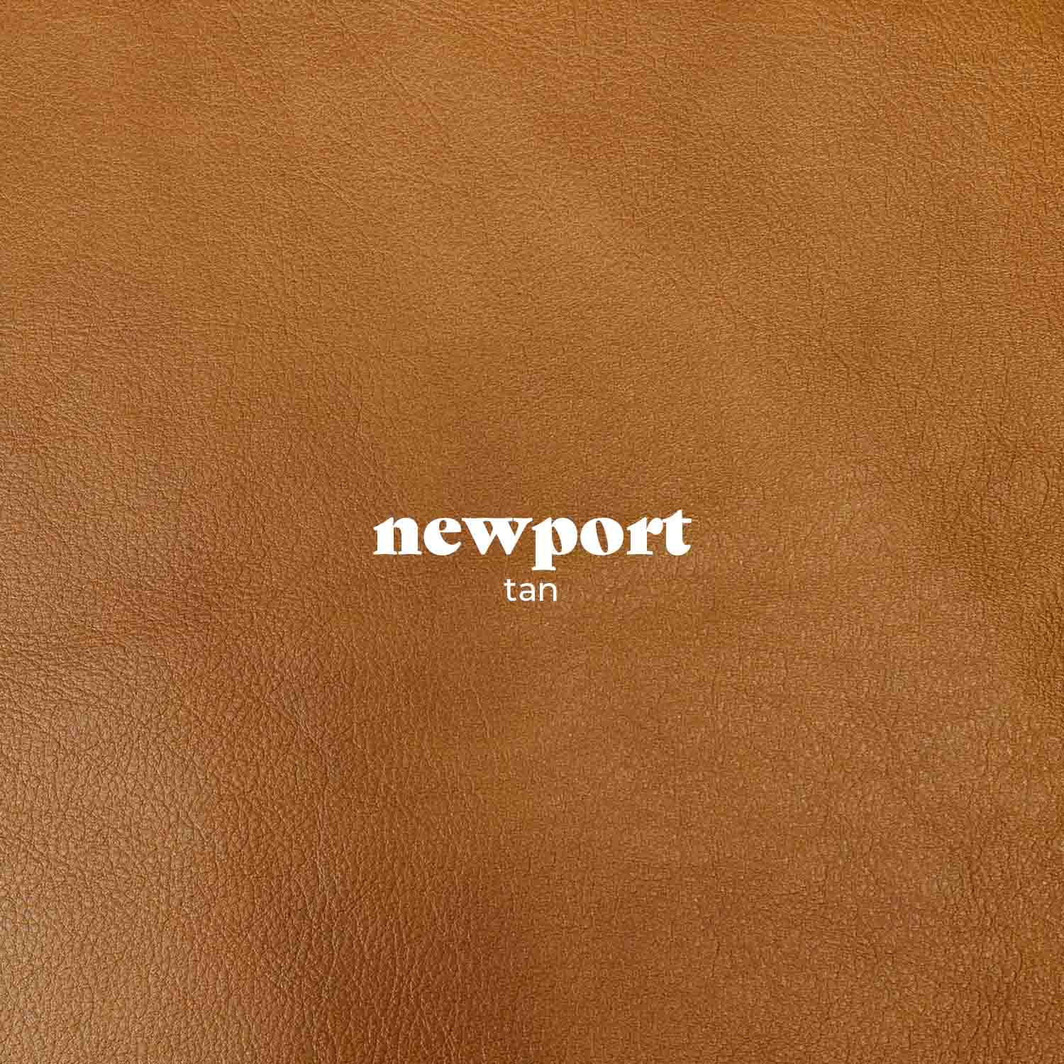 Harmony Leather 2.5 Seat Sofa